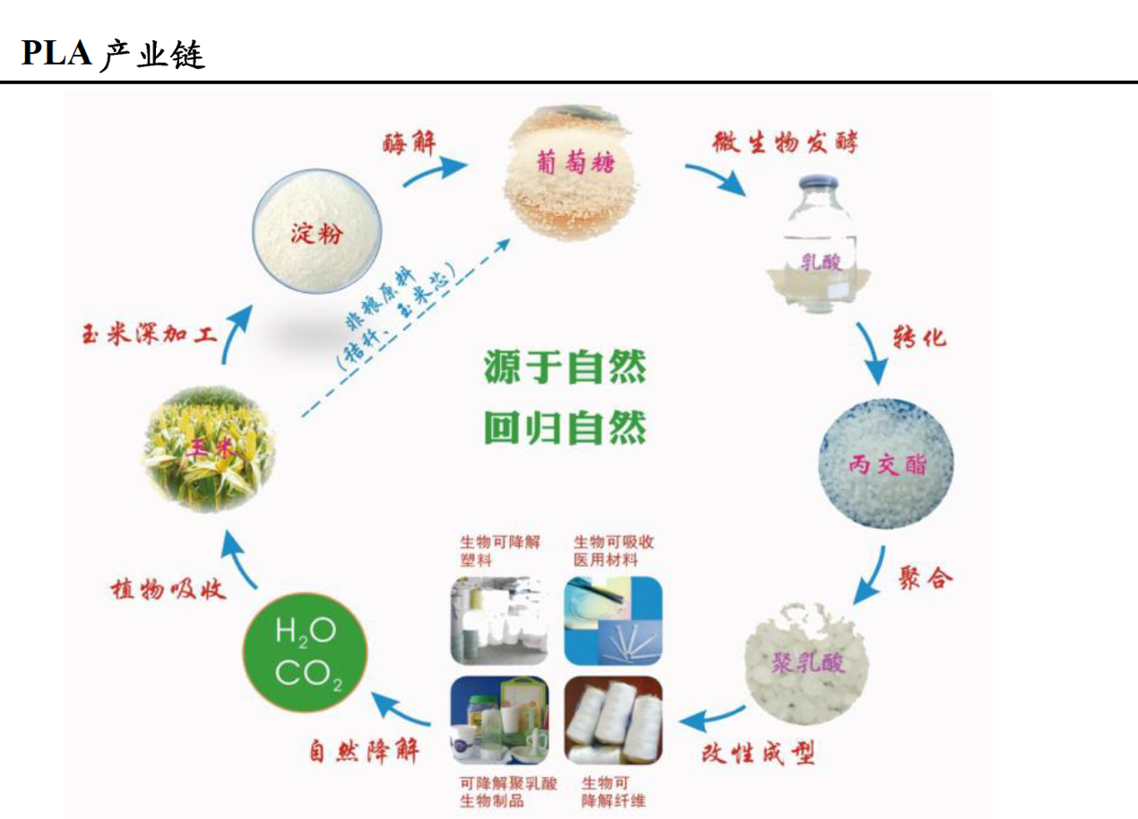 可降解塑料的王冠,生物基PLA打破国外垄断,畅想百亿市场